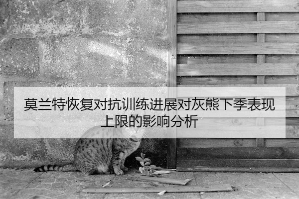 莫兰特恢复对抗训练进展对灰熊下季表现上限的影响分析