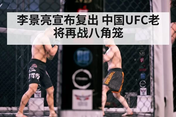 MMA octagon action